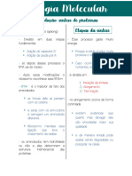 Cópia de 1) TRADUÇÃO (Resumo)