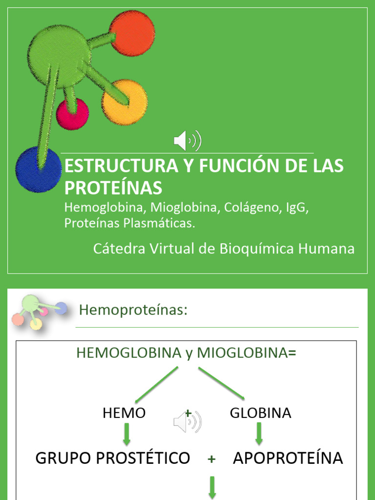 08 - Proteinas Virtual | PDF | Hemoglobina | Biología estructural