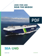 LNG 2021 - A View From The Bridge - v6