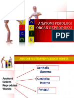 Anatomi Fisiologi Organ Reproduksi Wanita