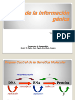 Flujo de La Informacion Genetica - Transcripcion