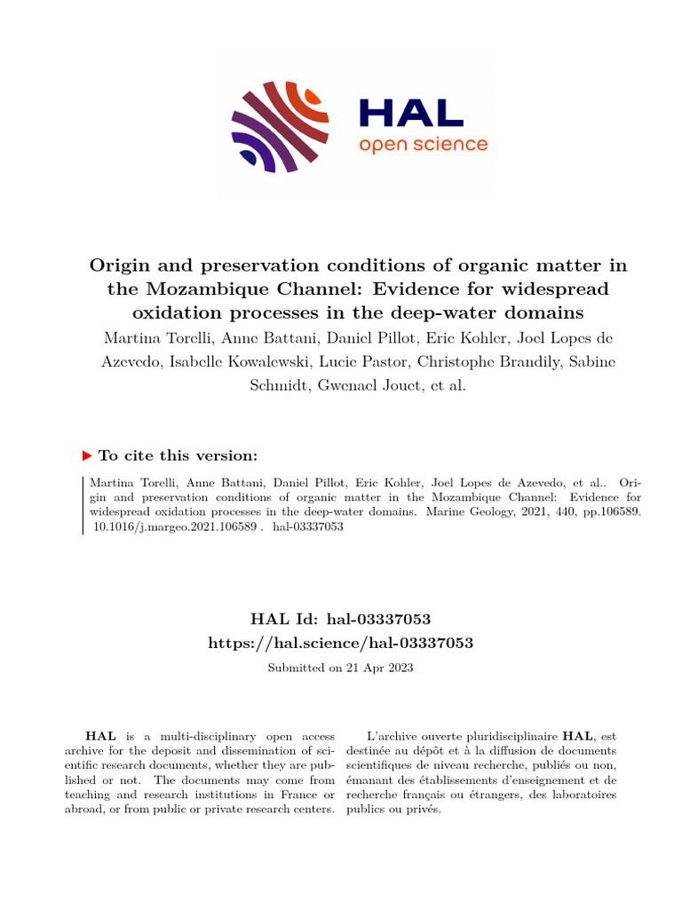 Origin and Preservation Conditions of Organic Matter in The Mozambique ...