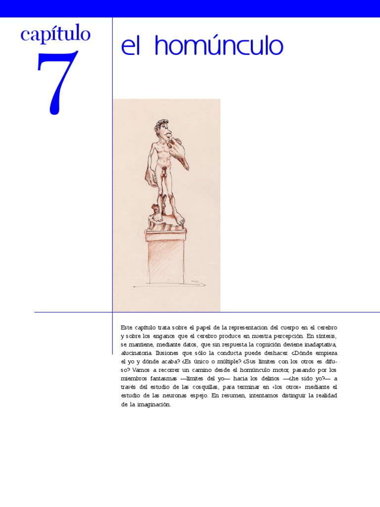 El Homúnculo y la Percepción del Yo | PDF | Hemisferio cerebral | Cerebro
