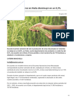 Producción de arroz en Huila disminuyó en un 83 (La Nación, 2022)