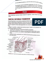 Barron 2022 PDF 4 Editat