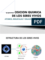 Composicion Quimica de Los Seres Vivos