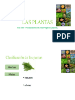 Las Plantas