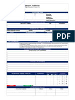 Registro auditorias (modelo 2) (1)(1)