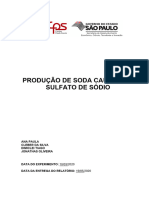 Relatório da produção de soda e sulfato