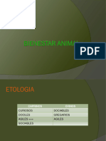 Bienestar Animal