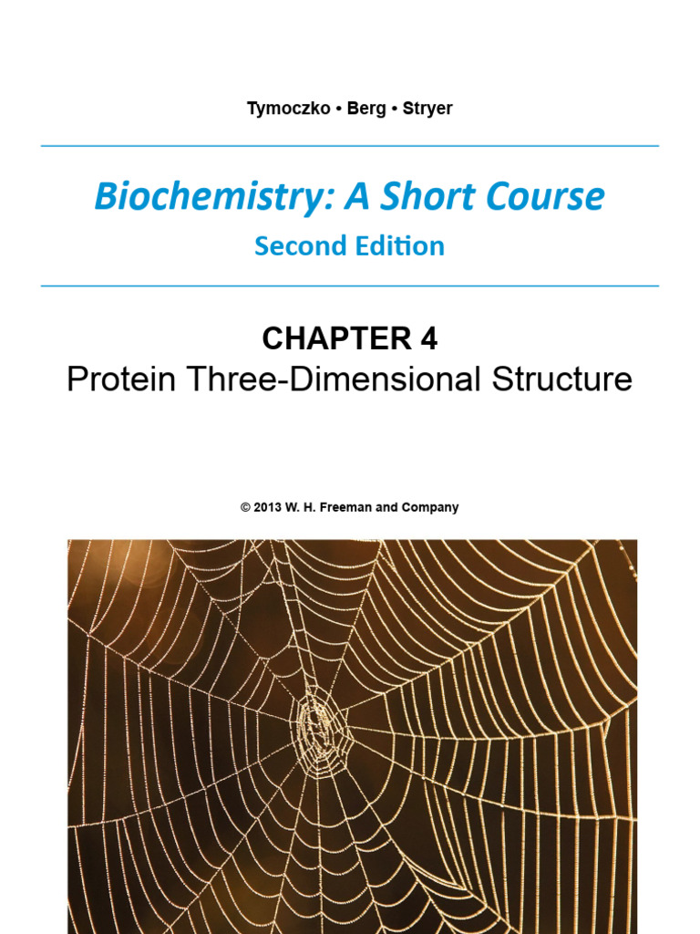 Chapter 4 Lecture Ppts Download Free Pdf Beta Sheet Protein Structure