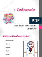 SISTEMA CARDIOVASCULAR-comprimido (1)