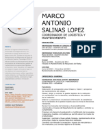 CV-MARCO SALINAS LOPEZ (2) (2) (1)