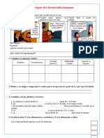 PS 4° - FICHA Etapas Del Desarrollo Humano