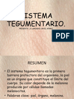 SISTEMA TEGUMENTARIO