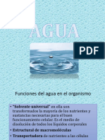 AGUA 19d