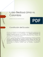 Recurso 1. Caso Bedoya Lima vs