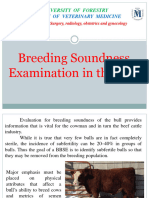 Breeding Soundness Examination in The Bull