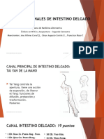 Intestino Delgado - Present - CANAL