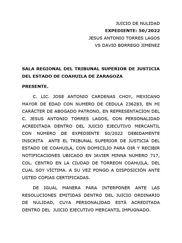 JUICIO DE NULIDAD CHOY (1) | PDF | Sentencia (ley) | Gobierno