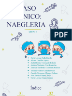 Caso Clinico Naegleria