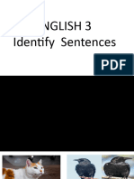 Eng.3 Identify Sentences