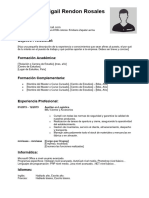 Curriculum Vitae Cronologico