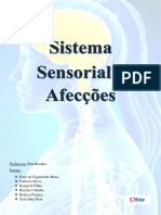 Sistema Sensorial Afecções Rita