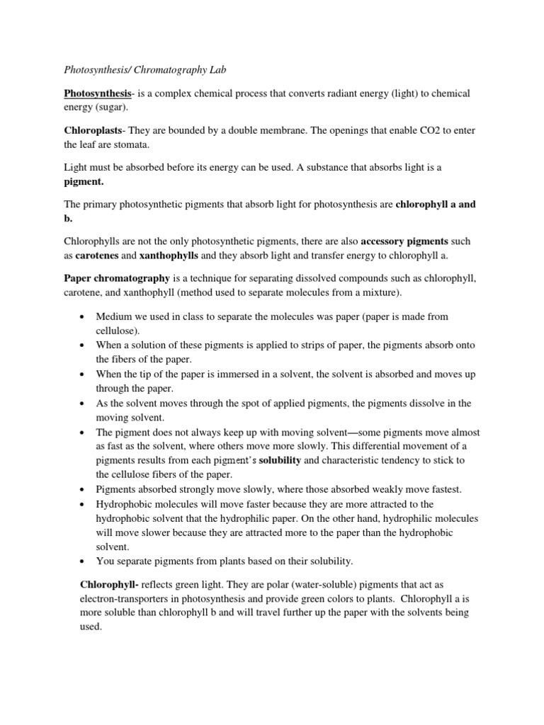 Chromatography Lab PDF Photosynthesis Chlorophyll