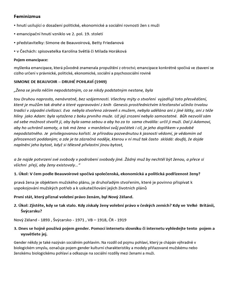 Feminismus pdf