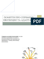 Поняття Про Спряжену Еволюцію Та Адаптації