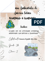 Portafolio Problemas Ambientales de América Latina Damaris 2
