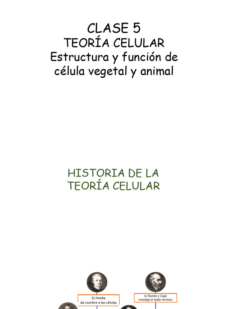 Clase 5 Biologã A Celular | PDF | Biología Celular) | Citoplasma