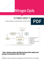 Nitrogen Cycle