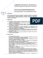 directiva N° 022-2015