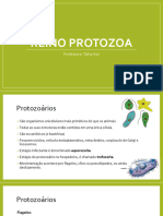 Aula11_Protozorios_20200618001039