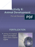 Activity 6 Prelab_animal Development