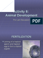 Activity 6 Prelab - Animal Development