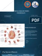 Semiología de Pares Craneales - 051500