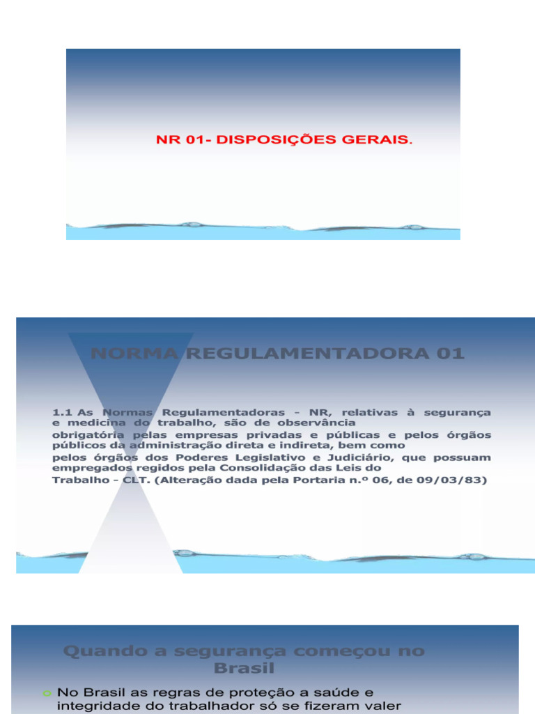 NR 01 - Apresentação | PDF