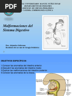 desarrollo-del-sistema-digestivo-embrionario-pdf-sistema-digestivo