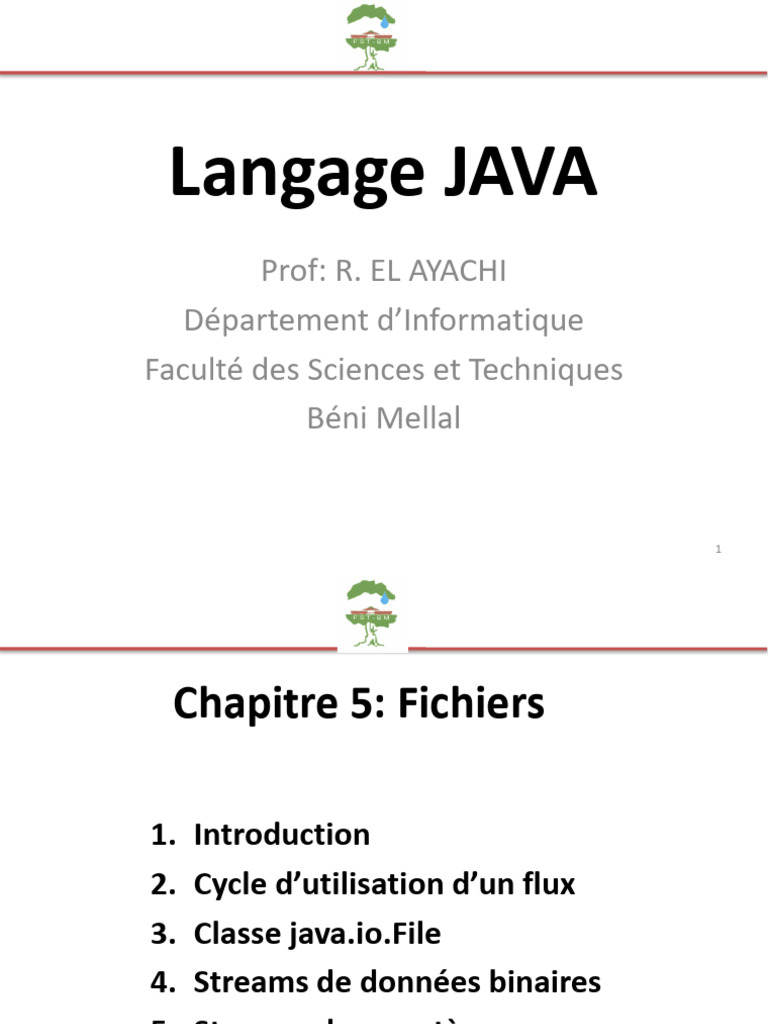 Lecture et écriture de fichiers en Java | PDF | Java (Langage de ...