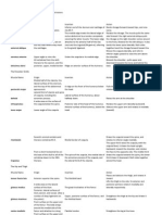 APMuscle Origin Insertions