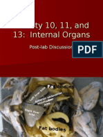 Activity 10, 11, and 13 - Postlab Internal Organs
