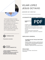 CV Octavio Vejar