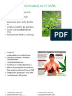 Cannabis PDF