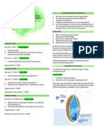 MEDICINA DE RUMIANTES Ok