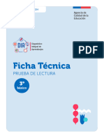 Ficha Tecnica Lectura Diagnostico 2024 3 Basico