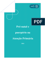 24 - Pré-natal e puerpério na atenção primária -  01 de abril de  2024