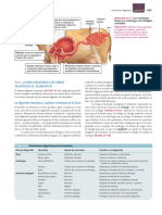 Sem 5 Bio Un 7 Audersik Sist Nutricional - S Digestivo